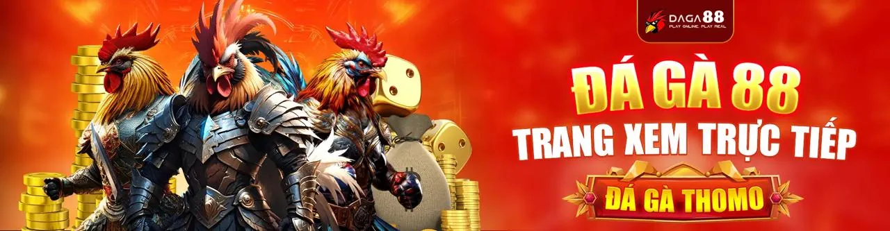 Dịch vụ hỗ trợ khách hàng 24/7 tại 333vin nhà cái